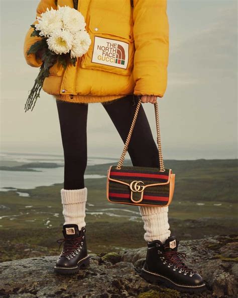 gucci north face campaign